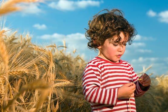 The Truth About Pasta: Pasta is Good for the Earth